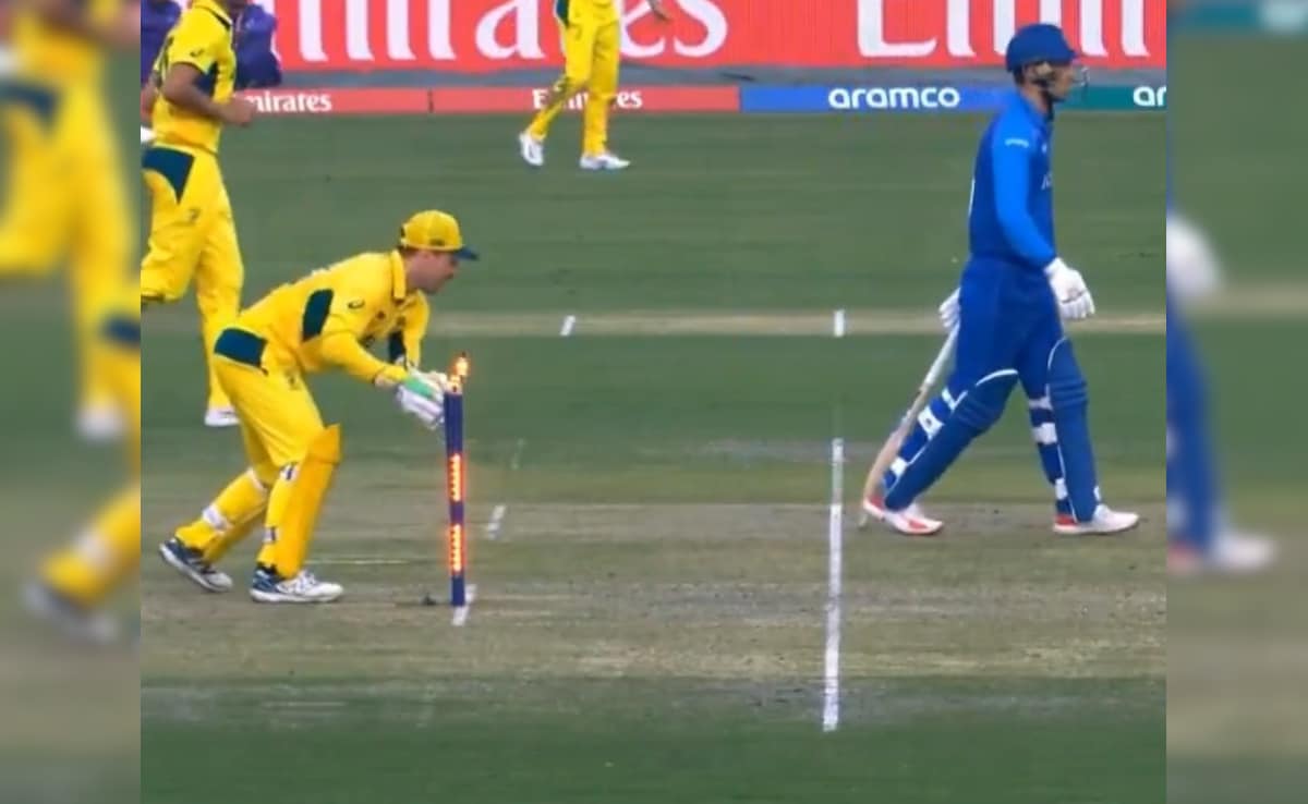 Australia's Josh Inglis Controversially Runs Out Afghanistan Star. What Steve Smith Does Next Stuns All. Watch