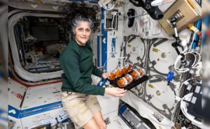 How Sunita Williams Is Spending Time In Space