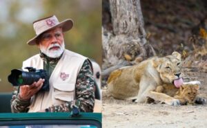 PM Modi's Lion Safari At Gujarat's Gir On World Wildlife Day