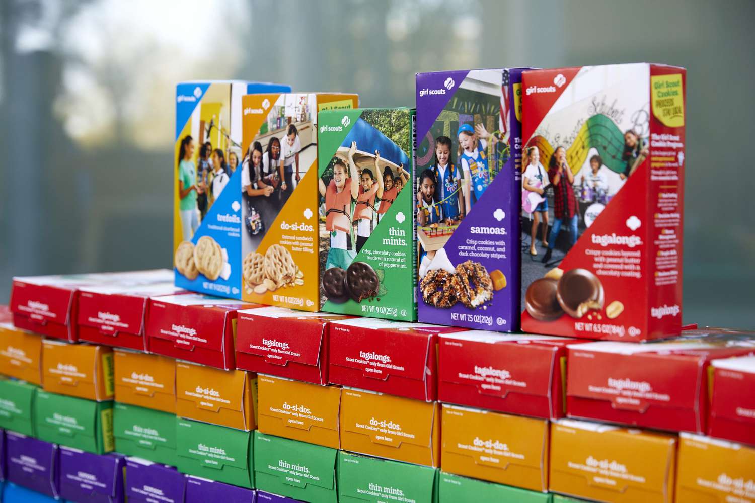 Girl Scouts Face Lawsuit Following Study That Claims Cookies Contain