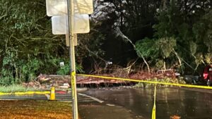 Intense storms and downed trees leave more than 10000 residents