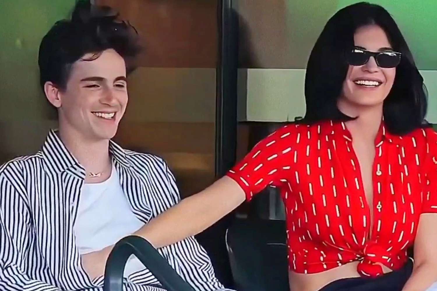 Kylie Jenner and Timothee Chalamet Show Affection During Date at