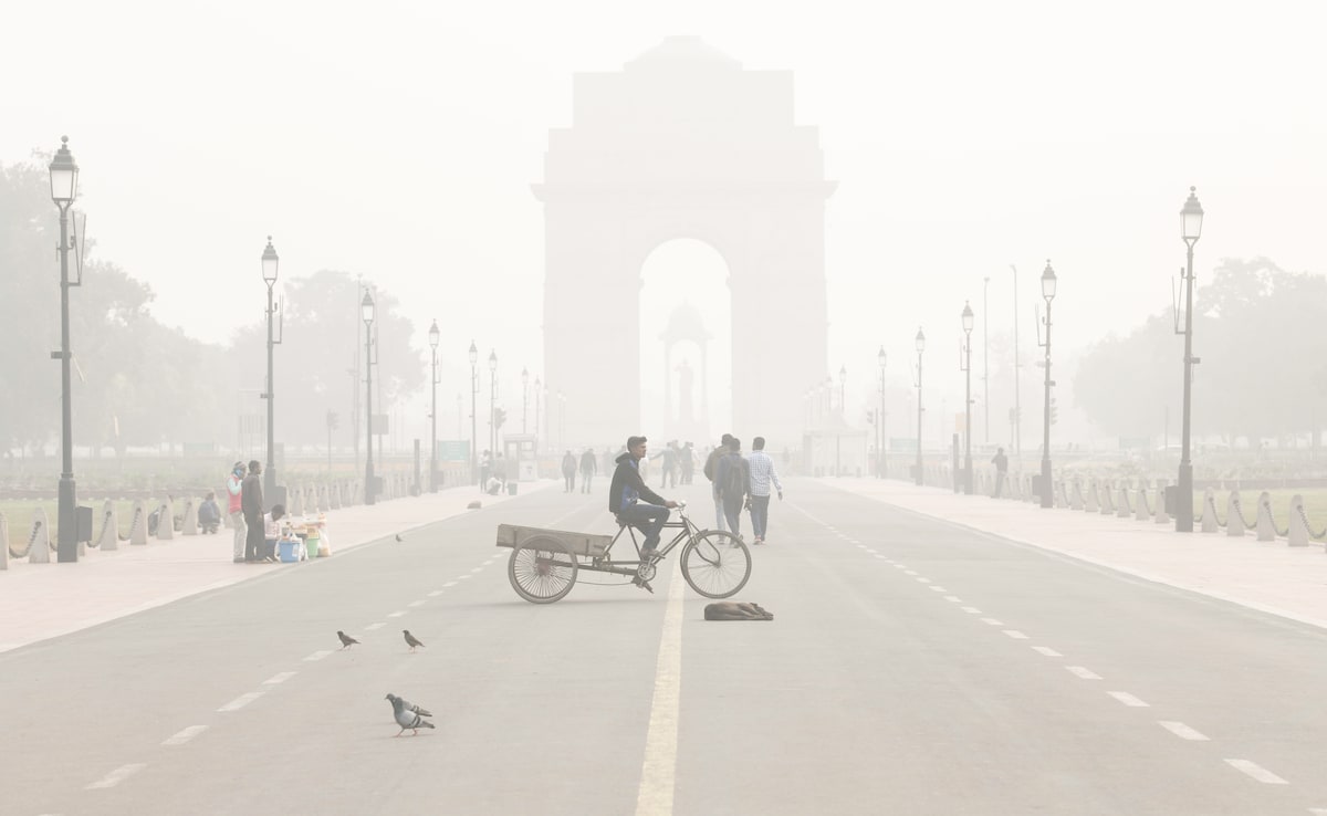 Anti-Smog Guns To Be Mandatory For High-Rise Buildings, Hotels In Delhi