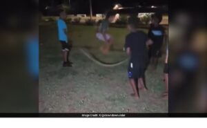 Children Use Dead Snake As Skipping Rope In Viral Video From Australia, Probe Launched