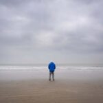 New Scientist Suggests Ocean Featuring David Attenborough