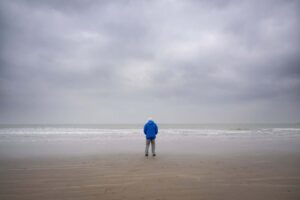 New Scientist Suggests Ocean Featuring David Attenborough
