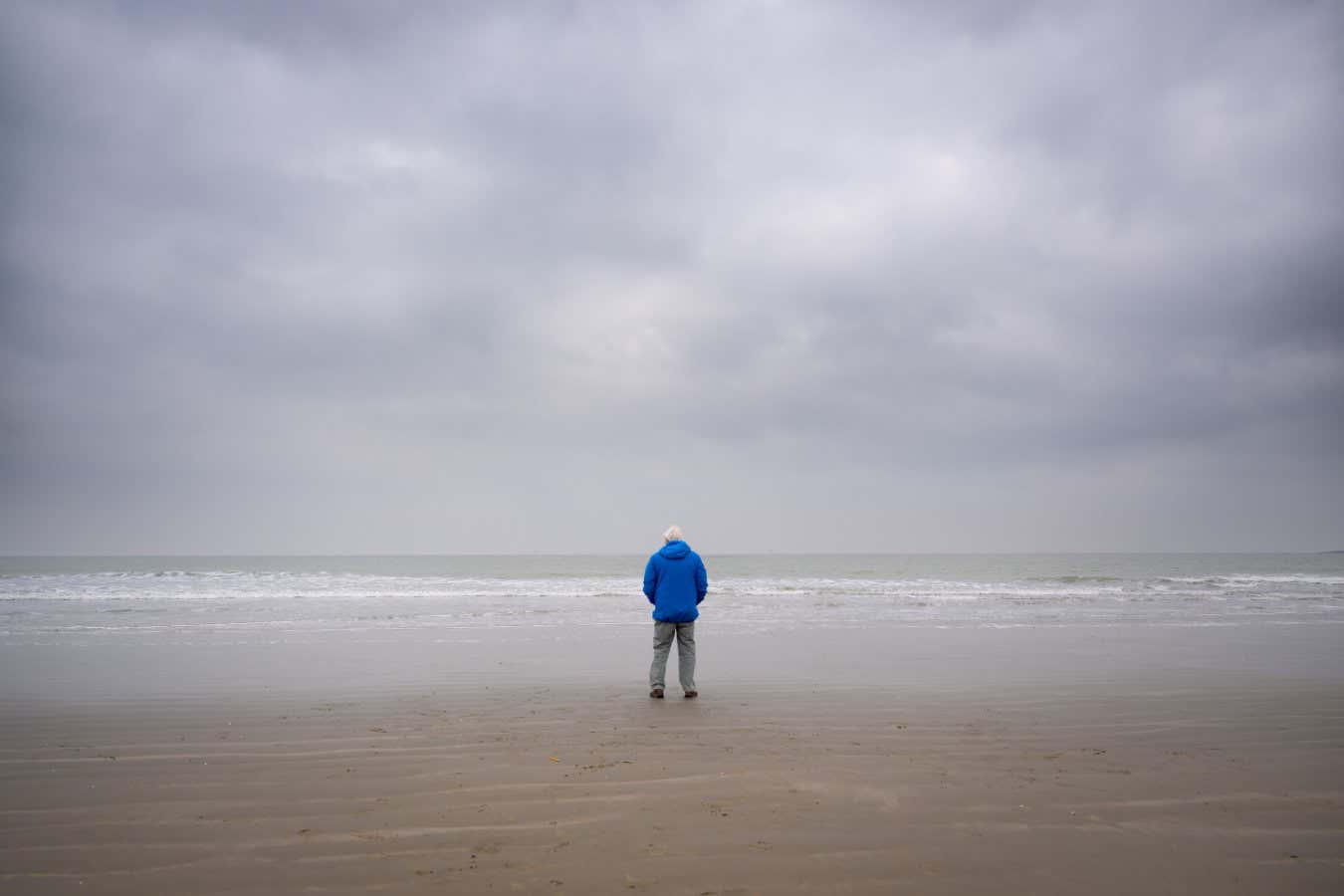 New Scientist Suggests Ocean Featuring David Attenborough