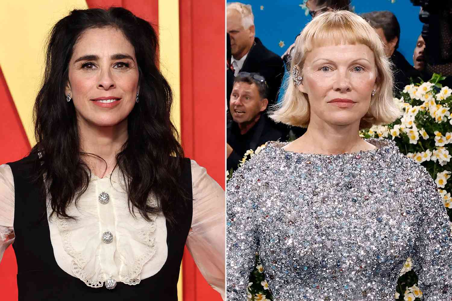 Sarah Silverman Claims Pamela Anderson Is Not Fond of Me