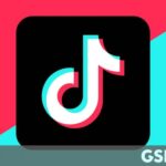 TikTok Arrives says executive as Trump indicates he might delay
