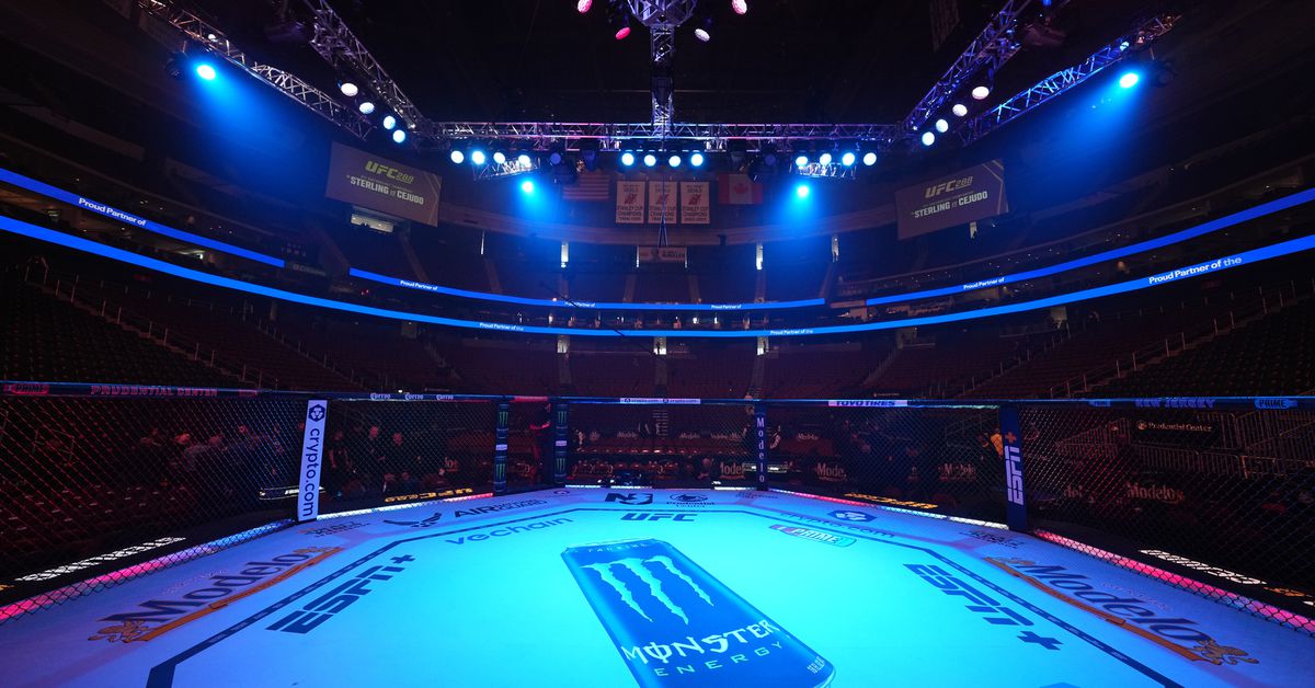 UFC 316 Rising Knockout Artist Rescues Light Heavyweight Bout on